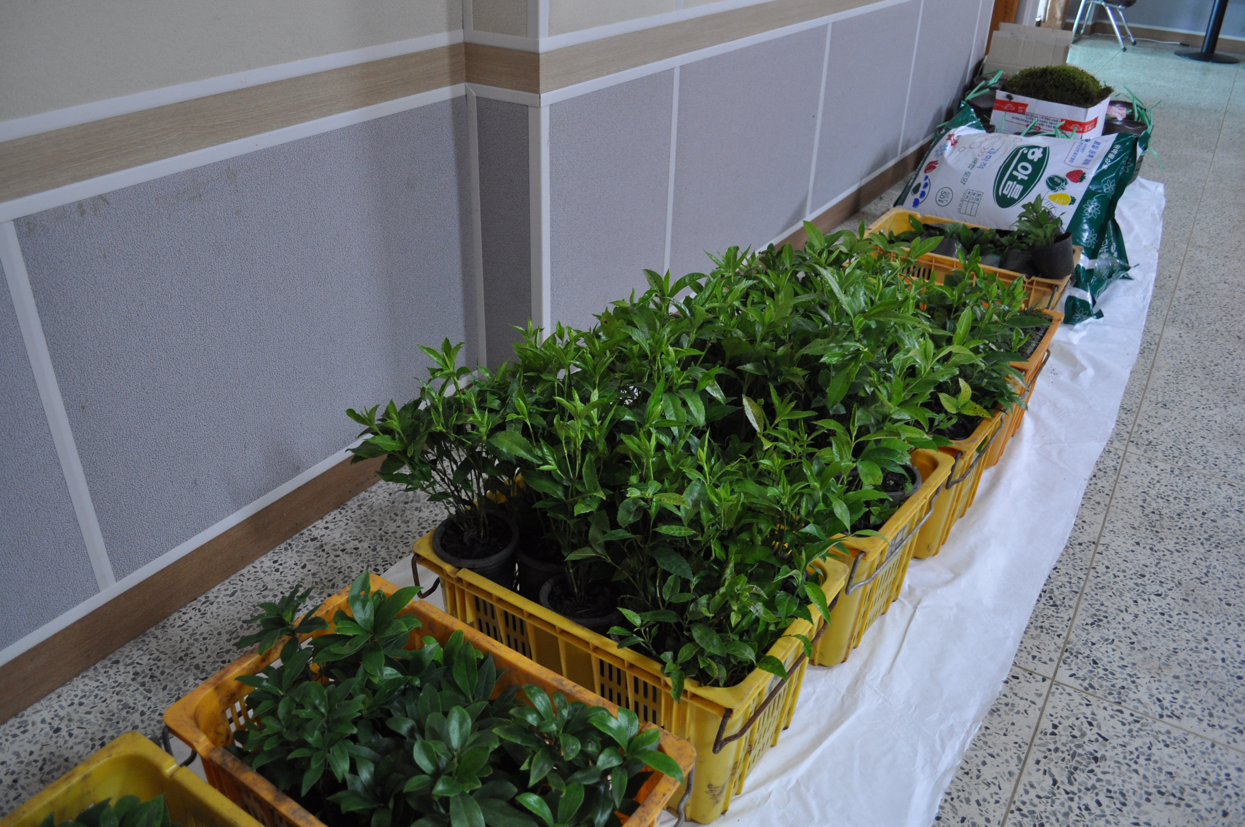 도시생활농업 활성화 생활원예 교육(1차수,2011.9.8)